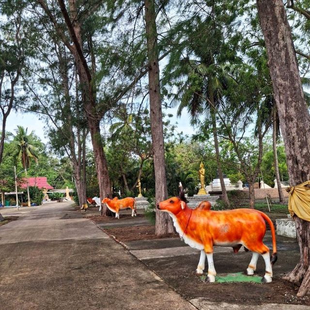 ไหว้พระพุทธรัตนมงคลที่หาดทุ่งวัวแล่น