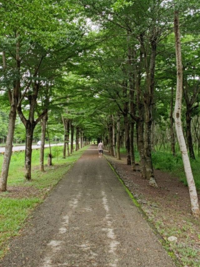#林後四林平地森林園區-屏東縣潮州鎮