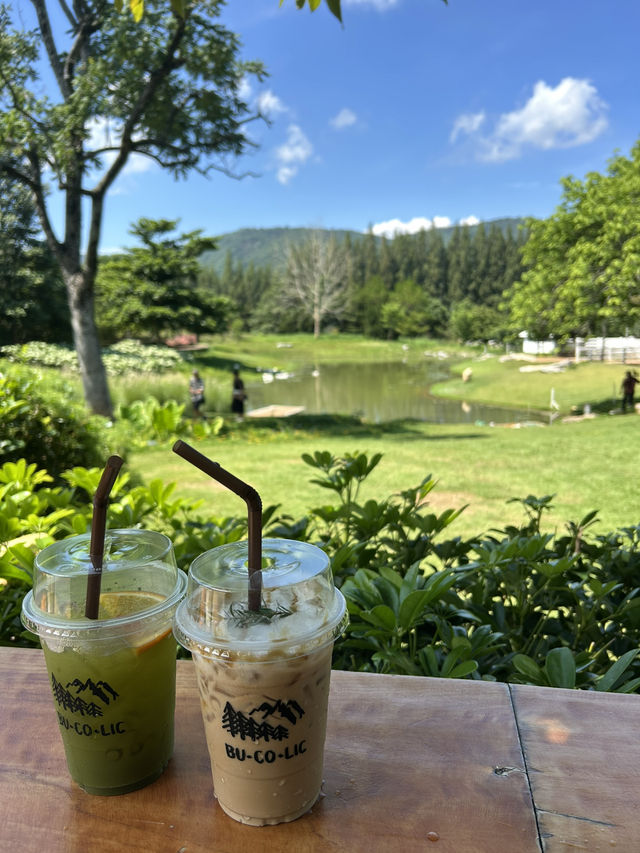คาเฟ่ดือออมาก