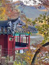 청주 상당산성 나들이 💚