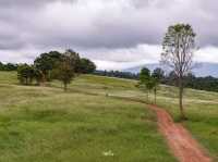 เส้นทางศึกษาธรรมชาติหนองผักชี เขาใหญ่