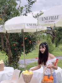 คาเฟ่ Une Fille Café And Space