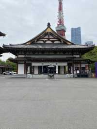 【東京都芝公園🇯🇵増上寺】徳川家の菩提寺/日本有数の寺院☺️