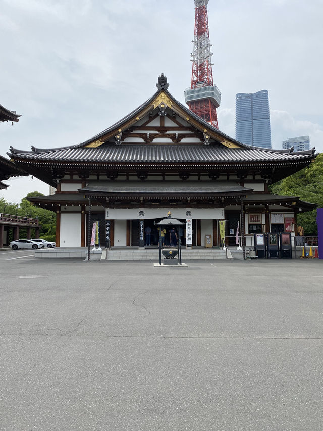 【東京都芝公園🇯🇵増上寺】徳川家の菩提寺/日本有数の寺院☺️