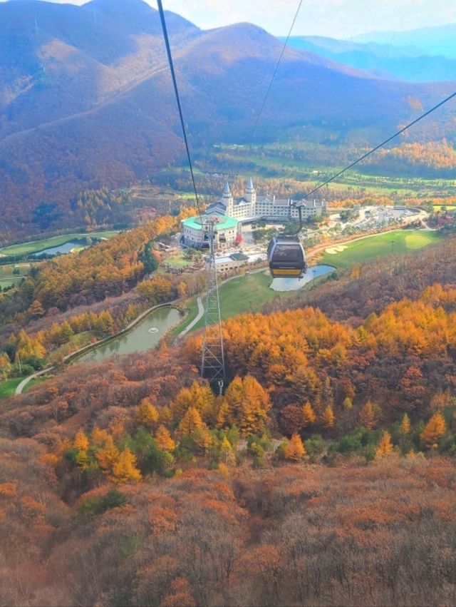 정선하이원가을하늘길트레킹여행🍁🍂