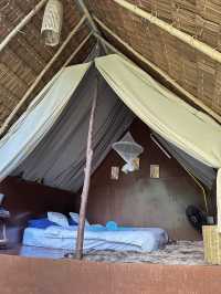 นอนแคมป์ติดลำธารที่ธารทรายทอง 🏕️