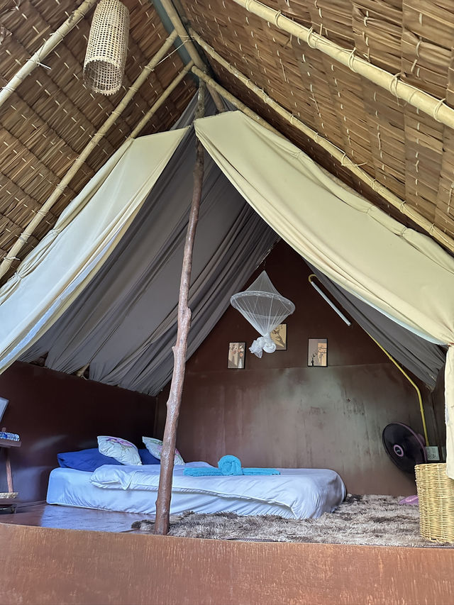 นอนแคมป์ติดลำธารที่ธารทรายทอง 🏕️
