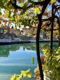 Countryside Escapes – Rogotin & Vlaka’s Peaceful Beauty with a Grape Surprise