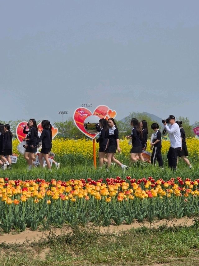 봄바람과 꽃길이 인생샷 배경이 되는 순간
