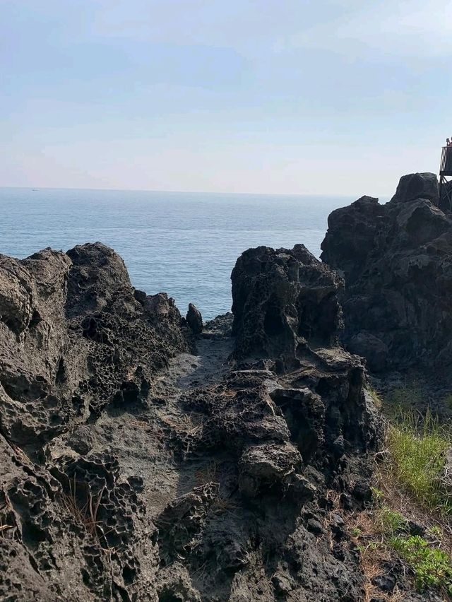 Nature’s Geometric Flex by the Sea