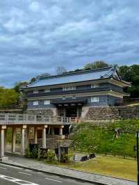 Kanazawa Castle & Kenrokuen – Timeless Beauty in the Heart of Kanazawa