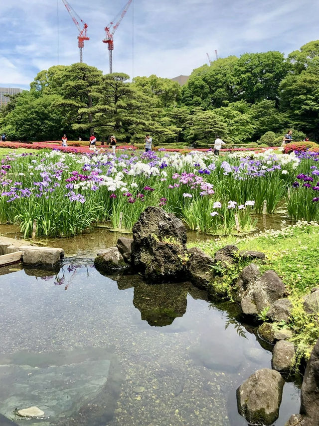 A Relaxing Day Around the Imperial Palace 👑🌿