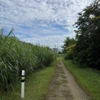 🚶‍♂️🚴‍♀️ Rail Corridor — A Super Friendly Weekend Hiking & Cycling Route!