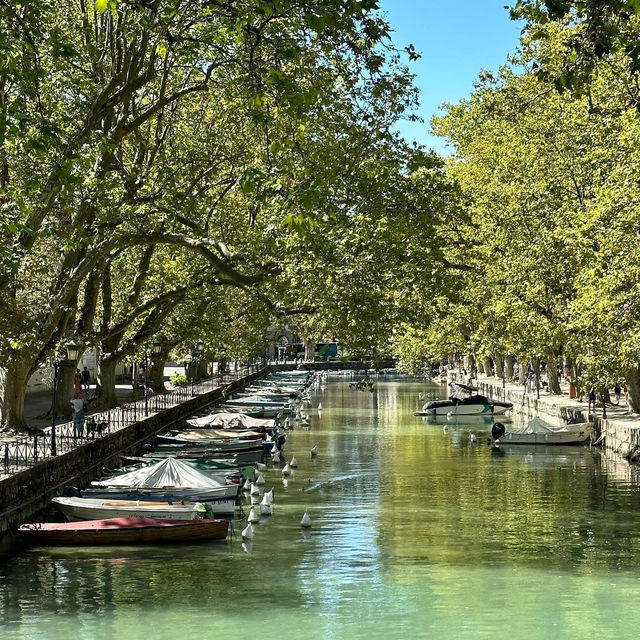 🚣‍♀️🌿 Annecy’s Canals: A Fairytale Stroll Through the "Venice of the Alps