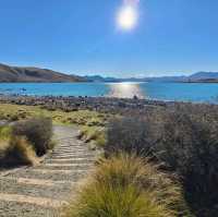 Tranquil Moments by the Lake: A Visit to Tekapo’s Iconic Church and Memorial Dog