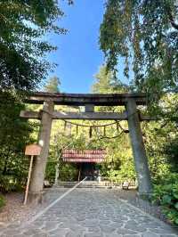 A Day of Serenity and Nature in Sendai ⛩️🌲