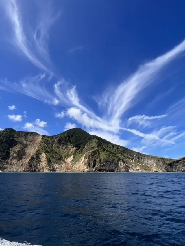 宜蘭龜山島賞鯨