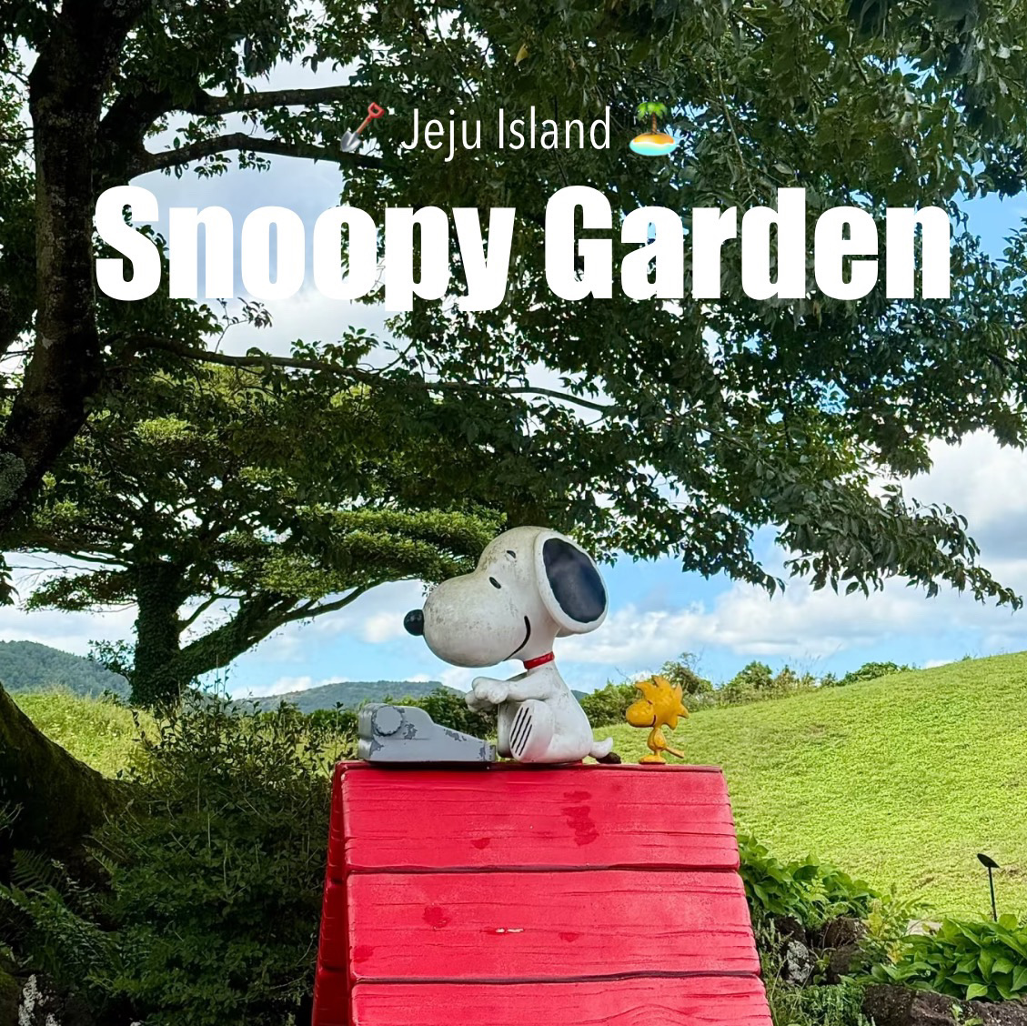 その他  GLOBE JEJU EDITION SNOOPY GARDEN Snoopy Garden (2025) - All You Need to Know BEFORE You Go