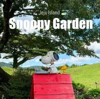 Jeju | If You Loved Snoopy as a Kid — This Is a Must-Visit! 🐶🌿