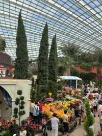 Flower Dome💐🌸🌺🌻