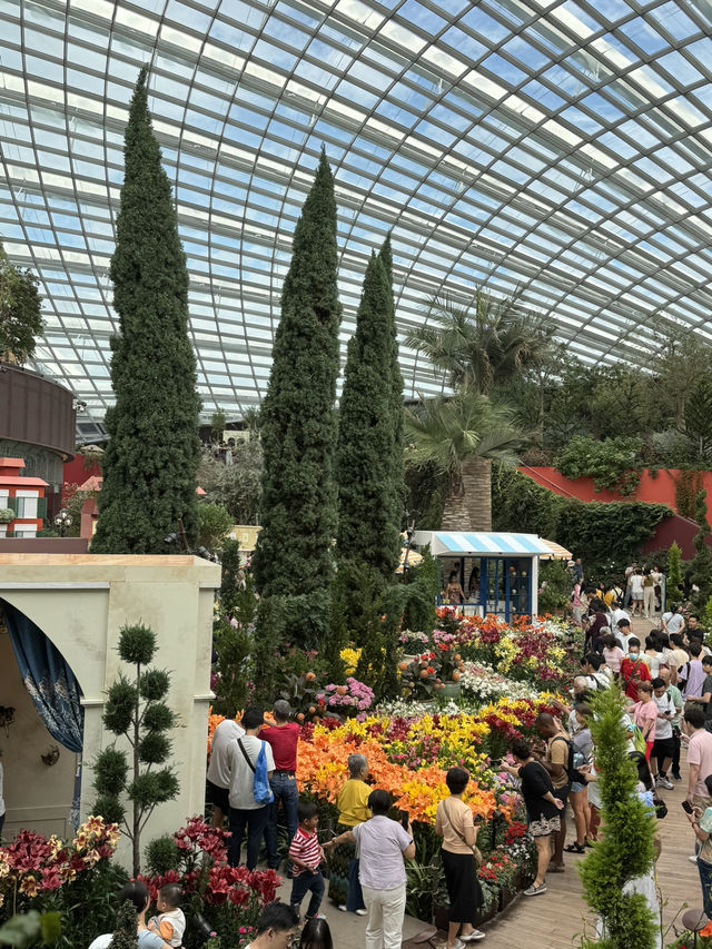Flower Dome💐🌸🌺🌻