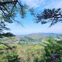 Easy Hike, Great Views, Totally Chill Spot