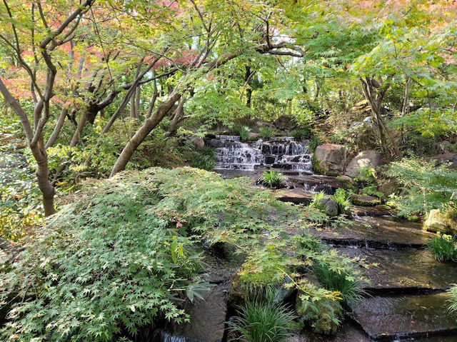 日本｜兵庫｜好古園