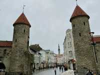 🏰 A Perfect Day Trip from Helsinki to Tallinn: History, Views, and Hidden Gems