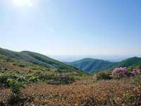 Cool Trails at Hyangjeokbong