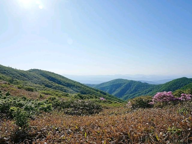 Cool Trails at Hyangjeokbong