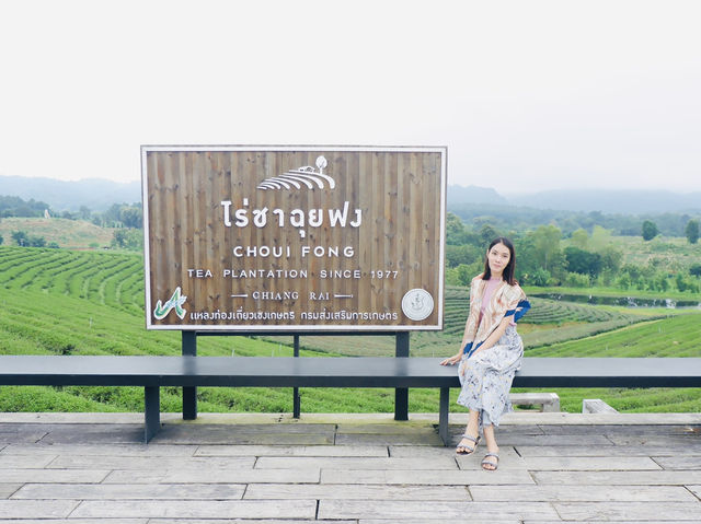 ไร่ชาฉุยฟง🌱