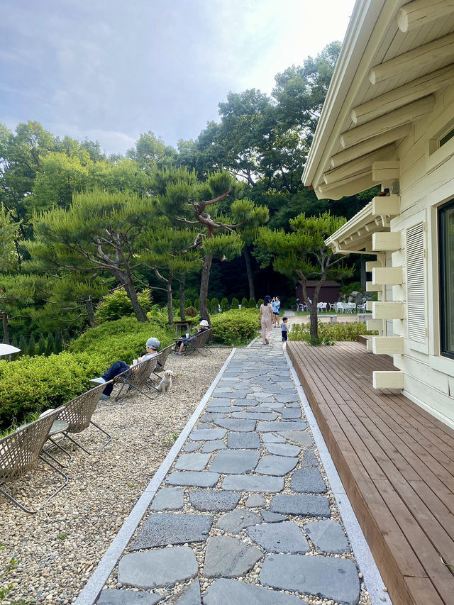 🌲 숲속 감성 그대로, 고양 신상카페 ‘로더우드 L’odeur Wood’
