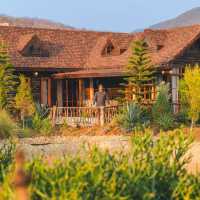 Pine village เชียงใหม่