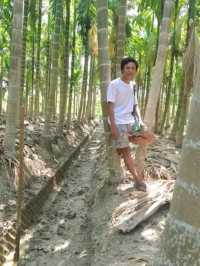 A Trip to a Betel Nut Farm