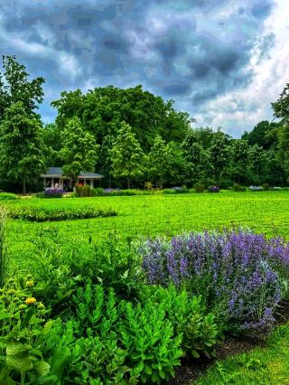 GreenHeartbeat – A Moment in Clara-Zetkin-Park, Leipzig