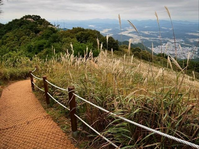 Hiking Hwawangsan, Sweaty, Scenic, and So Worth It