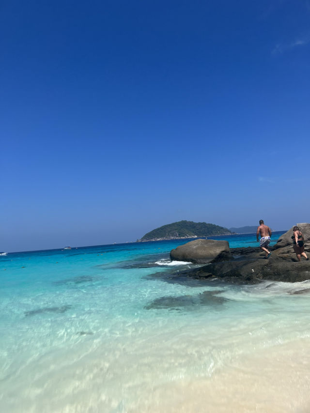 Similan island 1 day trip