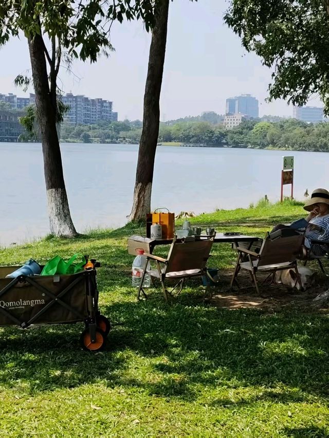 🏞️ 松山湖生態園區
