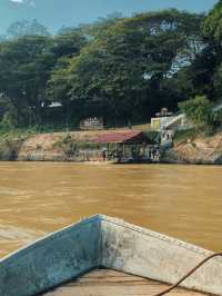 River Breezes & Jungle Vibes: A Weekend in Taman Negara Pahang