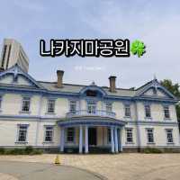 삿포로 여름, 푸르른 나카지마공원🌳💛