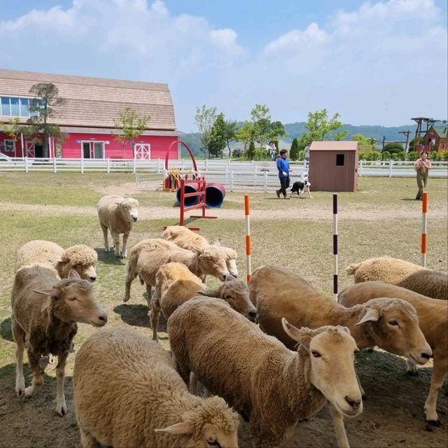 Belle Foret Farm