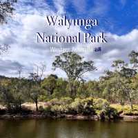 Perth, Western Australia Hiking Recommendation: Walyunga National Park! 🌳🚶‍♀️