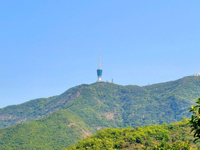【香港最大礦洞~蓮麻坑 ⭐⭐⭐】