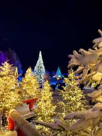 ❄️ A Magical 4-Day, 3-Night Winter Getaway in Rovaniemi, Finland 🇫🇮