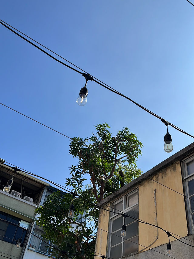 📍 台中小眾漫遊｜審計新村、模範貝果、黃昏高美濕地