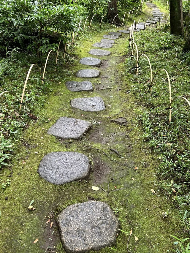 A Serene Harmony of Art & Nature — My Visit to Nezu Museum, Tokyo