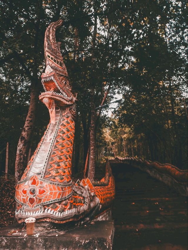 🛕พระธาตุปูแจ จ.แพร่ ฉบับหน้าฝน 🍃☔