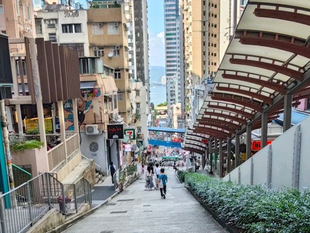 🌃✨ **香港浮世繪｜維港與廟街的魔幻對照記** 🏮🚢  