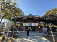 Healing Stones & Flea Market Vibes: Discover Kawagoe’s Renkeiji Temple