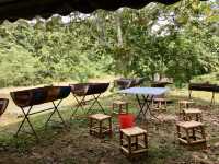 A misty silence: retreating into the woods of Sungai Lembing